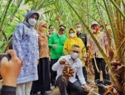 Genjot Sektor Pertanian, Wali Kota Bagikan Sarpras ke Gapoktan Samaendre