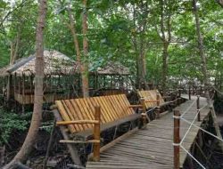 Menikmati Indahnya Pesona Mangrove Center di Kalimantan Timur