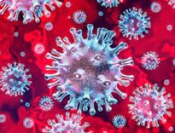 Virus Baru Neocov Ancam Penularan Tinggi hingga Kematian