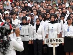 Kabar Bahagia dari DPR RI Buat Tenaga Honorer Seluruh Indonesia
