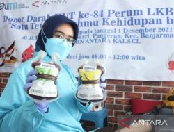 PMI: Kebutuhan Darah di Kalsel Capai 140 Ribu Kantong per Tahun