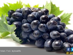 15 Manfaat Anggur, Penyakit Kronis Ini Bakalan Ambyar