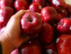 5 Manfaat Apel, Bikin Penyakit Ini Ogah Mendekat