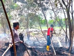 Polisi Mendalami Hasil Investigasi Kebakaran Lahan 5 Hektare di Kubu Raya Kalbar