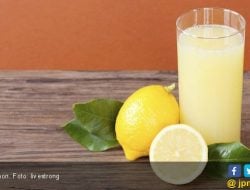 Bakar Lemak Perut dengan Mengonsumsi 5 Minuman Ini