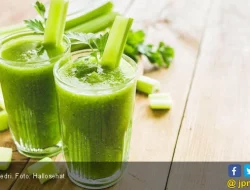 Atasi Perut Kembung dengan 7 Minuman Lezat dan Bergizi Ini