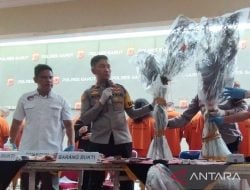 Dukun Asal Garut Dijadikan Tersangka Kepemilikan Ladang Ganja, Tuh Barbuknya