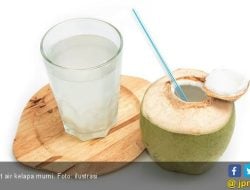 4 Manfaat Tidak Terduga Minum Air Kelapa Setiap Pagi, Amazing!