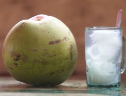 5 Manfaat Rutin Minum Air Kelapa Dicampur Madu, Wanita Pasti Suka