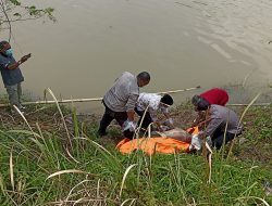 Mayat Tanpa Identitas Mengapung di Sungai Ciujung, Ada yang Kenal?