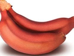 5 Manfaat Pisang Merah yang Tidak Terduga