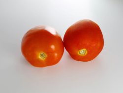 5 Manfaat Rutin Makan Tomat, Ampuh Atasi Penyakit Kronis Ini