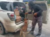 6 Anjing K9 Bantu Lacak Peredaran Narkoba di Pelabuhan Bakauheni