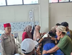 Seorang Warga Suoh Lampung Barat Diterkam Harimau Sumatera