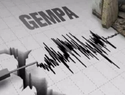 Gempa Berkekuatan 5,5 Magnitudo Guncang Ambon Maluku