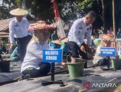 Pemkot Siapkan 12 Hektare Lahan Pertanian Kota di Kendari