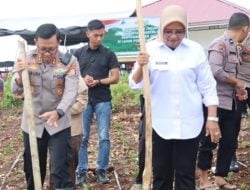 DKP Ungkap Penyebab Kenaikan Harga Beras