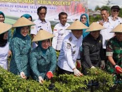 PKK Konsel Dorong Ketahanan Pangan dan Cegah Inflasi