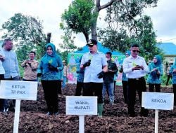 Pemda Butur Laksanakan Gerakan Tanam Cabai Serentak